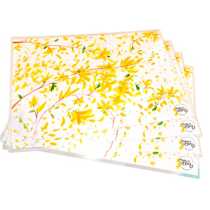 Offerte Festa della Donna linea Botanica