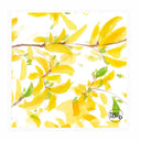 Sottobicchieri Linea Botanica