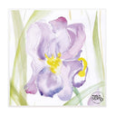 Sottobicchieri Linea Botanica