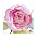 Sottobicchieri Linea Botanica