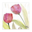 Sottobicchieri Linea Botanica