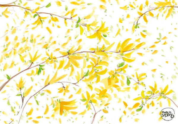 Offerte Festa della Donna linea Botanica